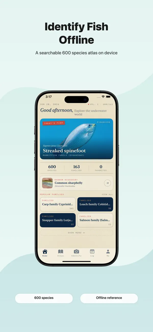 Fish Identifier Offline interface